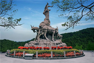 深圳北全套服务为你提供一站式满足需求